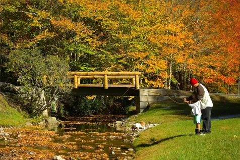 522 Receptive Drive Glenville NC 28736