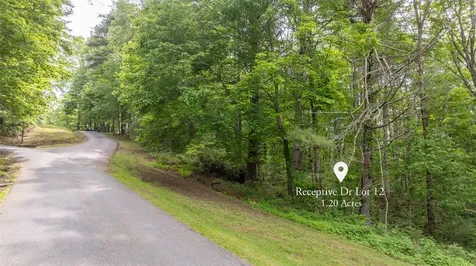 522 Receptive Drive Glenville NC 28736