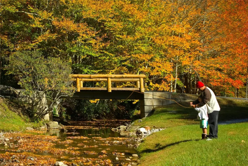 13 Receptive Drive Glenville NC 28736