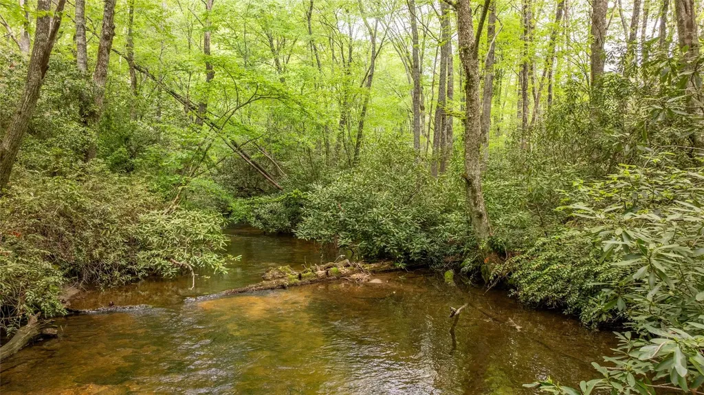 30 Eucalyptus Drive Glenville NC 28736