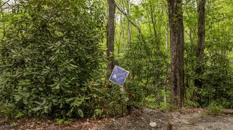 30 Eucalyptus Drive Glenville NC 28736