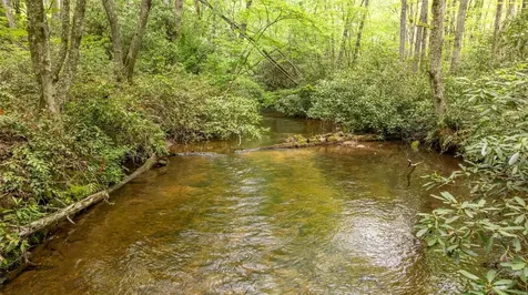 30 Eucalyptus Drive Glenville NC 28736