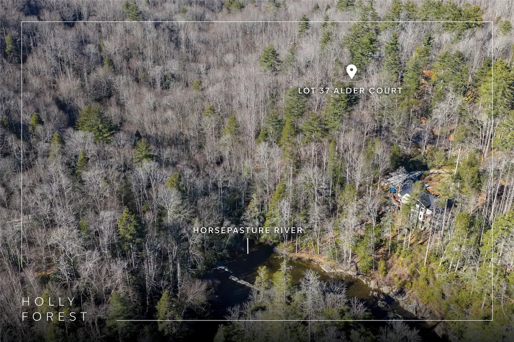 Lot 37 Alder Court Sapphire NC 28774