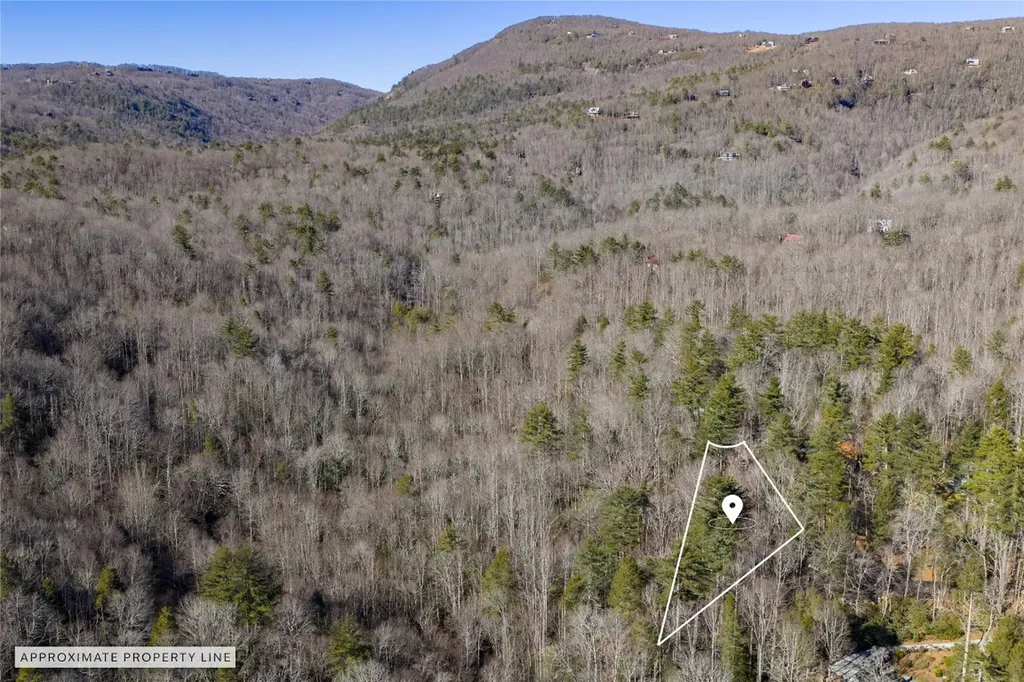 Lot 37 Alder Court Sapphire NC 28774