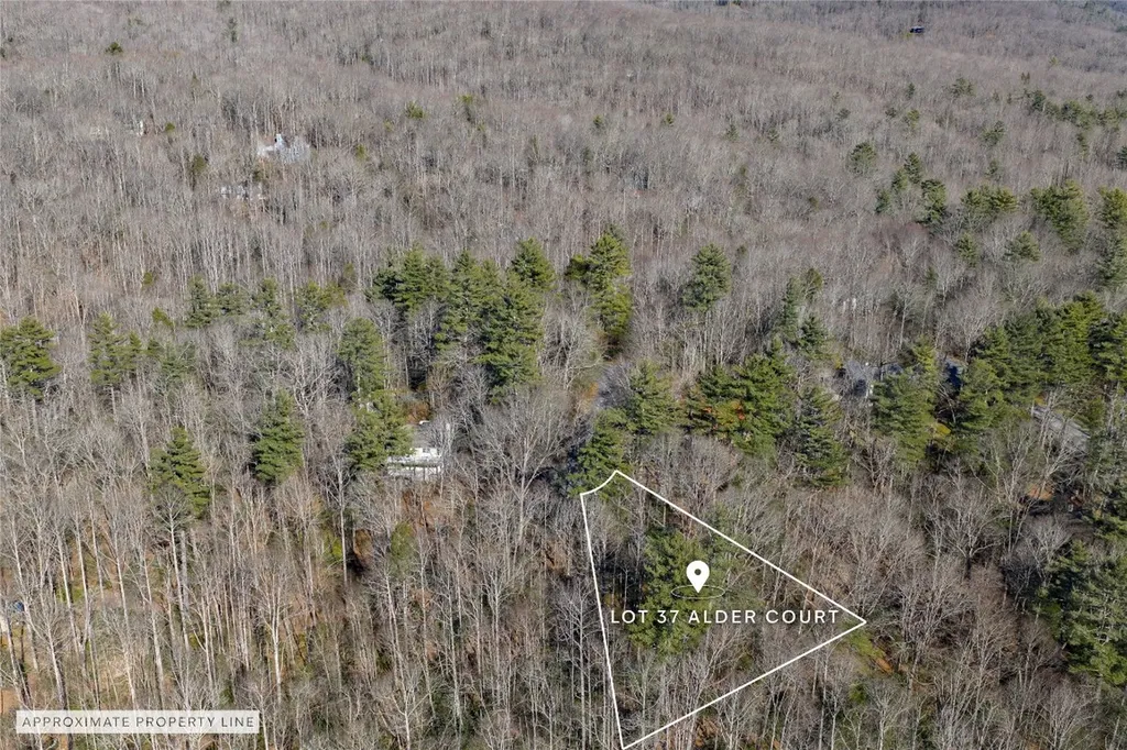 Lot 37 Alder Court Sapphire NC 28774
