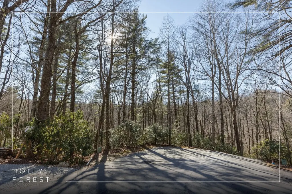 Lot 37 Alder Court Sapphire NC 28774