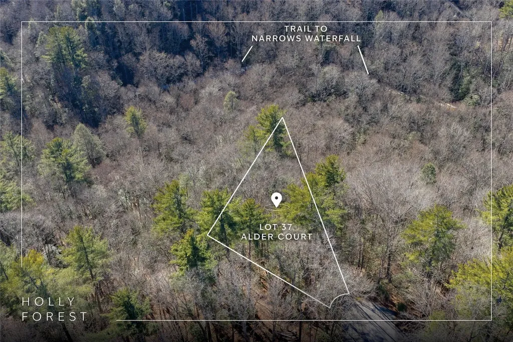 Lot 37 Alder Court Sapphire NC 28774