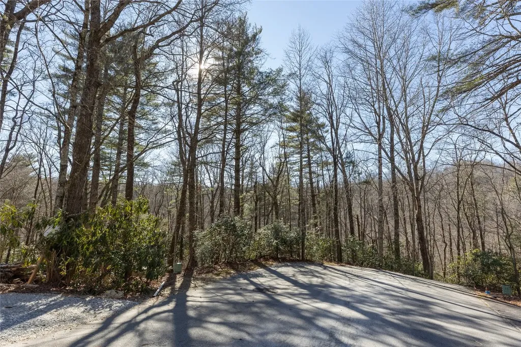 Lot 37 Alder Court Sapphire NC 28774