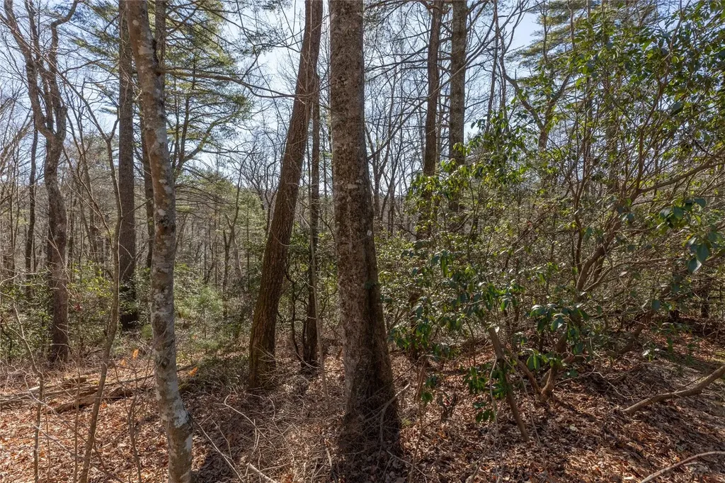 Lot 37 Alder Court Sapphire NC 28774