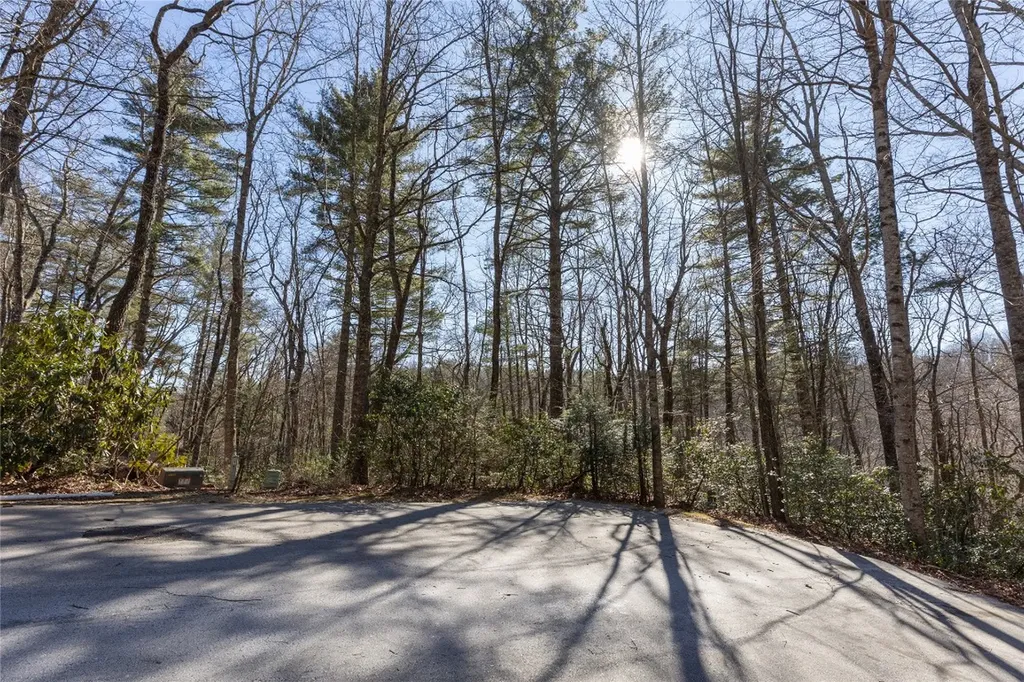 Lot 37 Alder Court Sapphire NC 28774