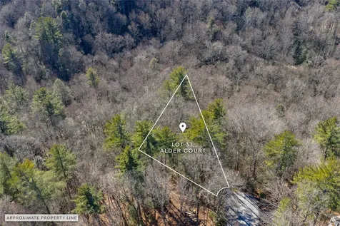 Lot 37 Alder Court Sapphire NC 28774