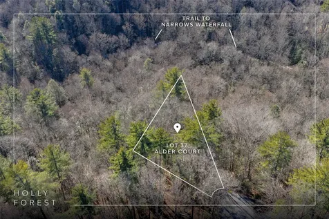 Lot 37 Alder Court Sapphire NC 28774