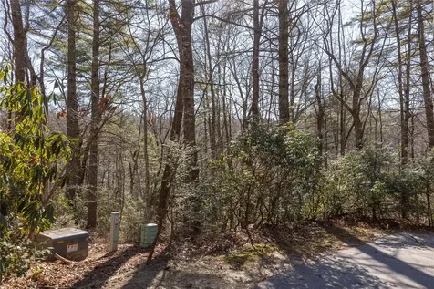Lot 37 Alder Court Sapphire NC 28774
