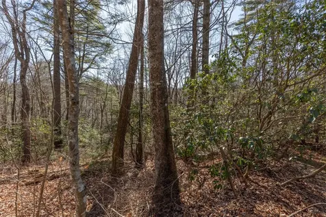 Lot 37 Alder Court Sapphire NC 28774