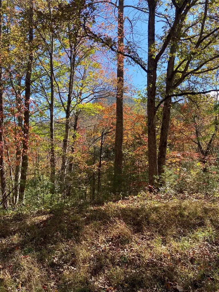 8B/9 Lowland Glade Tuckasegee NC 28783