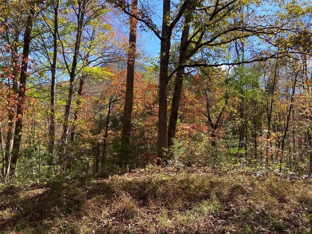 8B/9 Lowland Glade Tuckasegee NC 28783