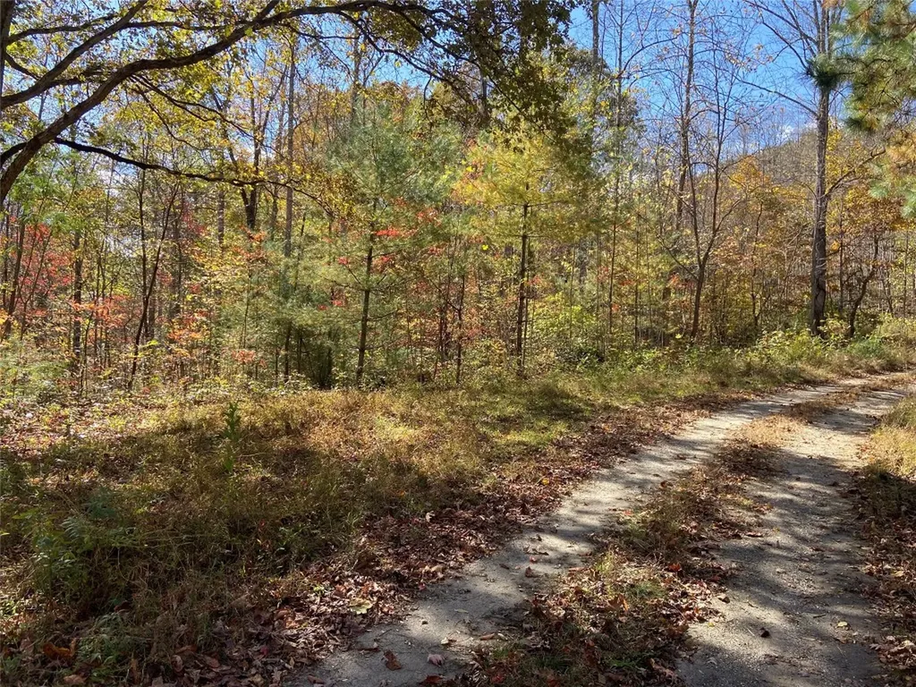 8B/9 Lowland Glade Tuckasegee NC 28783