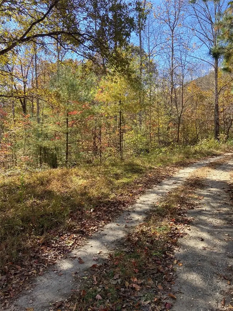 8B/9 Lowland Glade Tuckasegee NC 28783