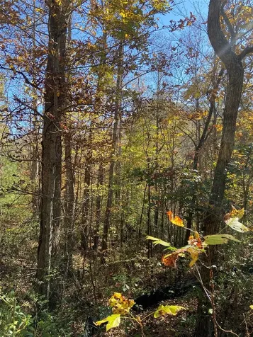 8B/9 Lowland Glade Tuckasegee NC 28783