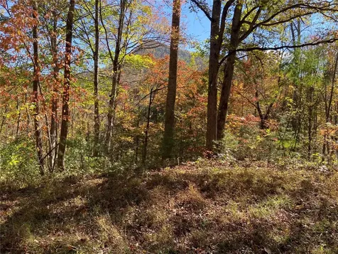 8B/9 Lowland Glade Tuckasegee NC 28783