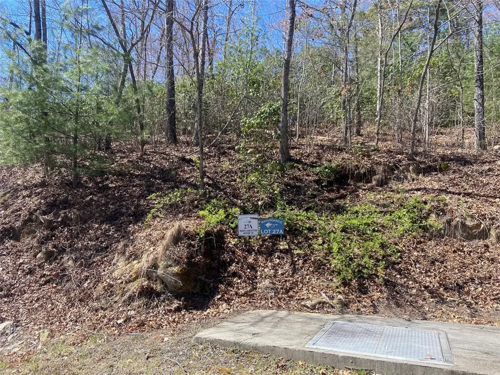 27A Mayfly Tuckasegee NC 28783