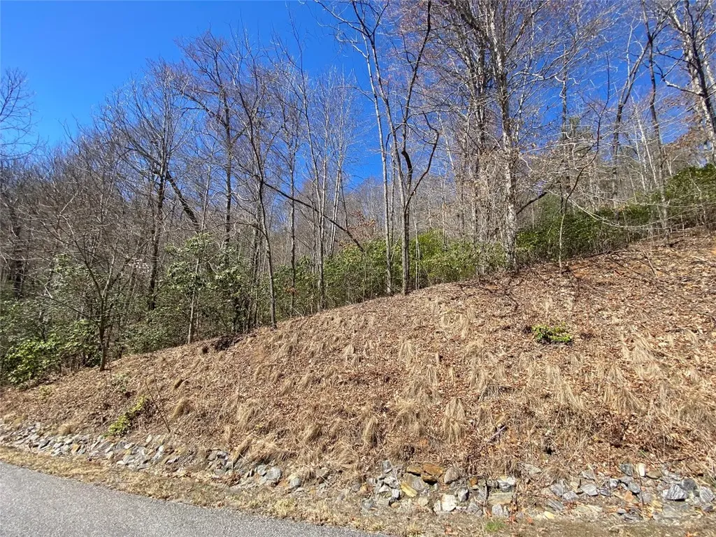27A Mayfly Tuckasegee NC 28783