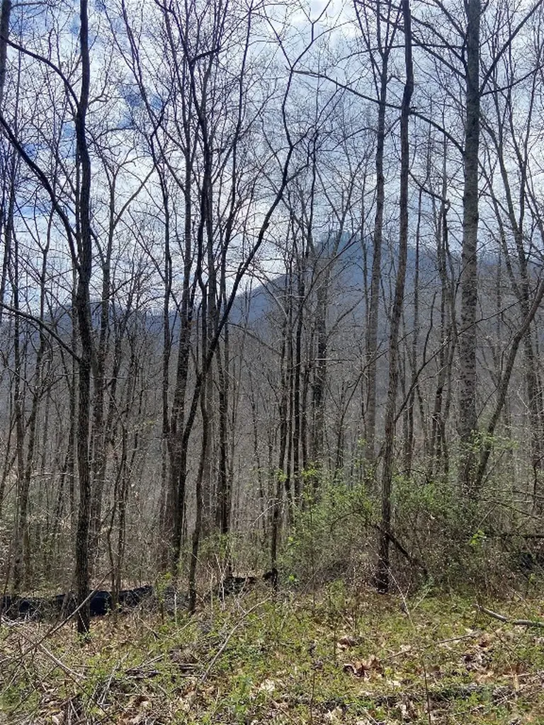 27A Mayfly Tuckasegee NC 28783