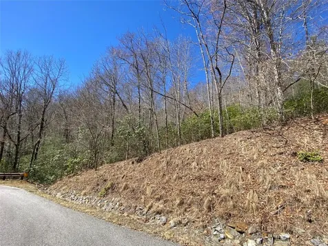 27A Mayfly Tuckasegee NC 28783