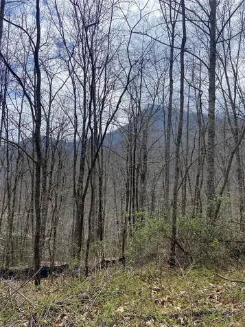 27A Mayfly Tuckasegee NC 28783