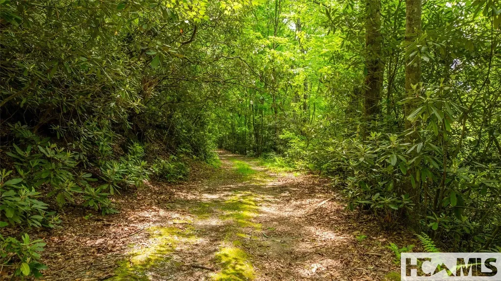 Lot 3 Carriage Lane Highlands NC 28741