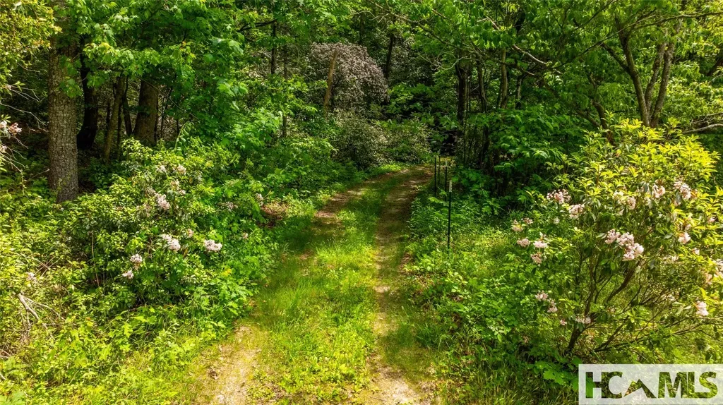 Lot 3 Carriage Lane Highlands NC 28741