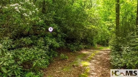 Lot 3 Carriage Lane Highlands NC 28741