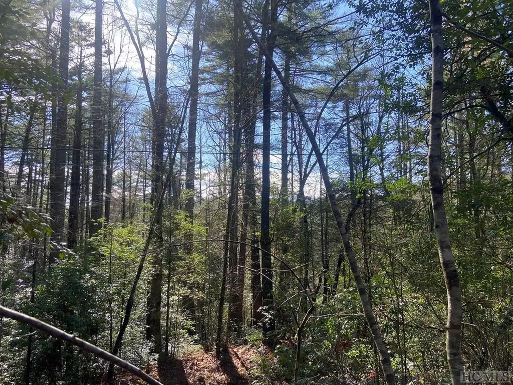 Tbd Sunrise Court Sapphire NC 28774