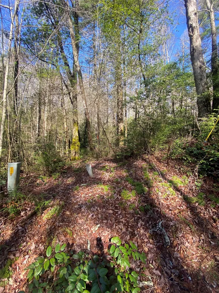 Tbd Sunrise Court Sapphire NC 28774