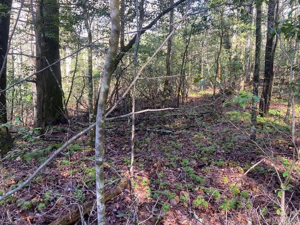 Tbd Sunrise Court Sapphire NC 28774