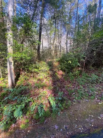 Tbd Sunrise Court Sapphire NC 28774