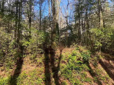 Tbd Sunrise Court Sapphire NC 28774