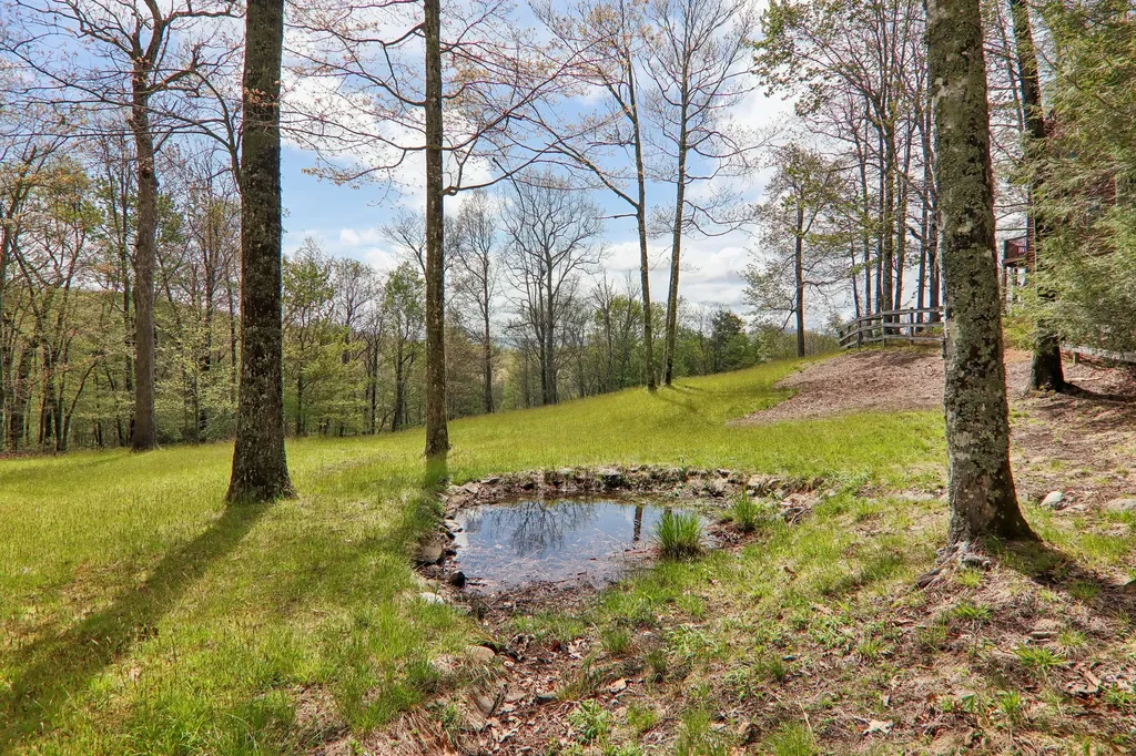 263 Panthertown Trail Sapphire NC 28774