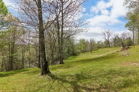 263 Panthertown Trail Sapphire NC 28774