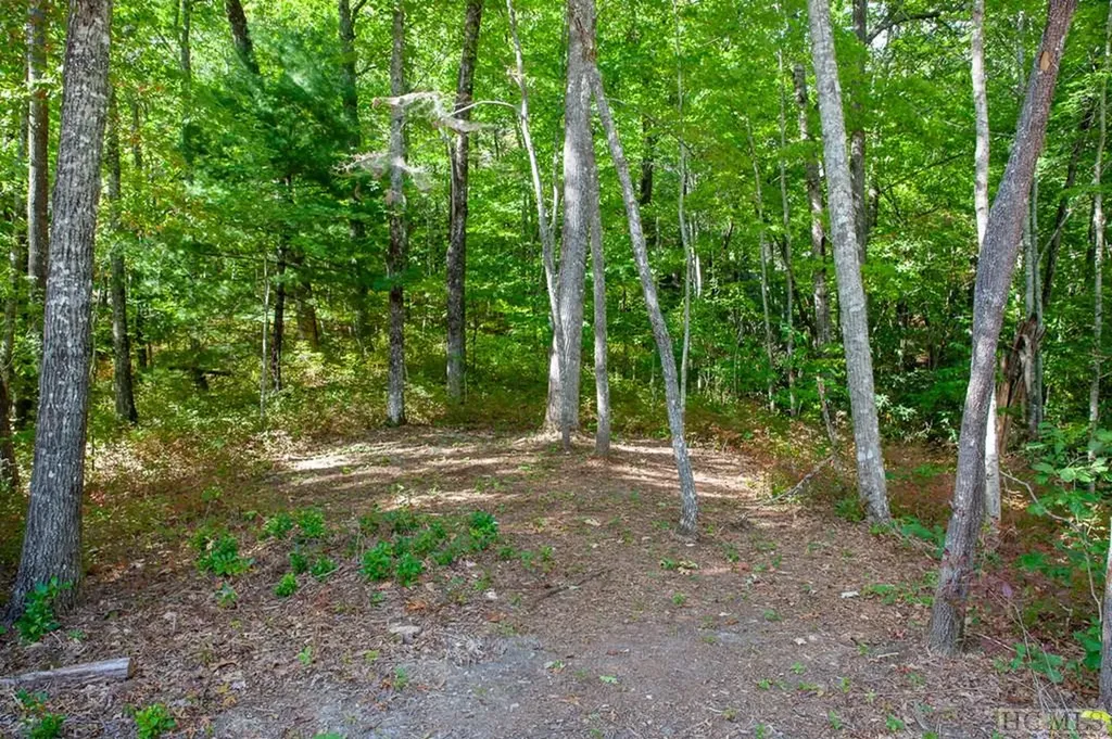 Lot 156 Lonesome Valley Sapphire NC 28774