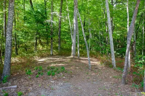 Lot 156 Lonesome Valley Sapphire NC 28774