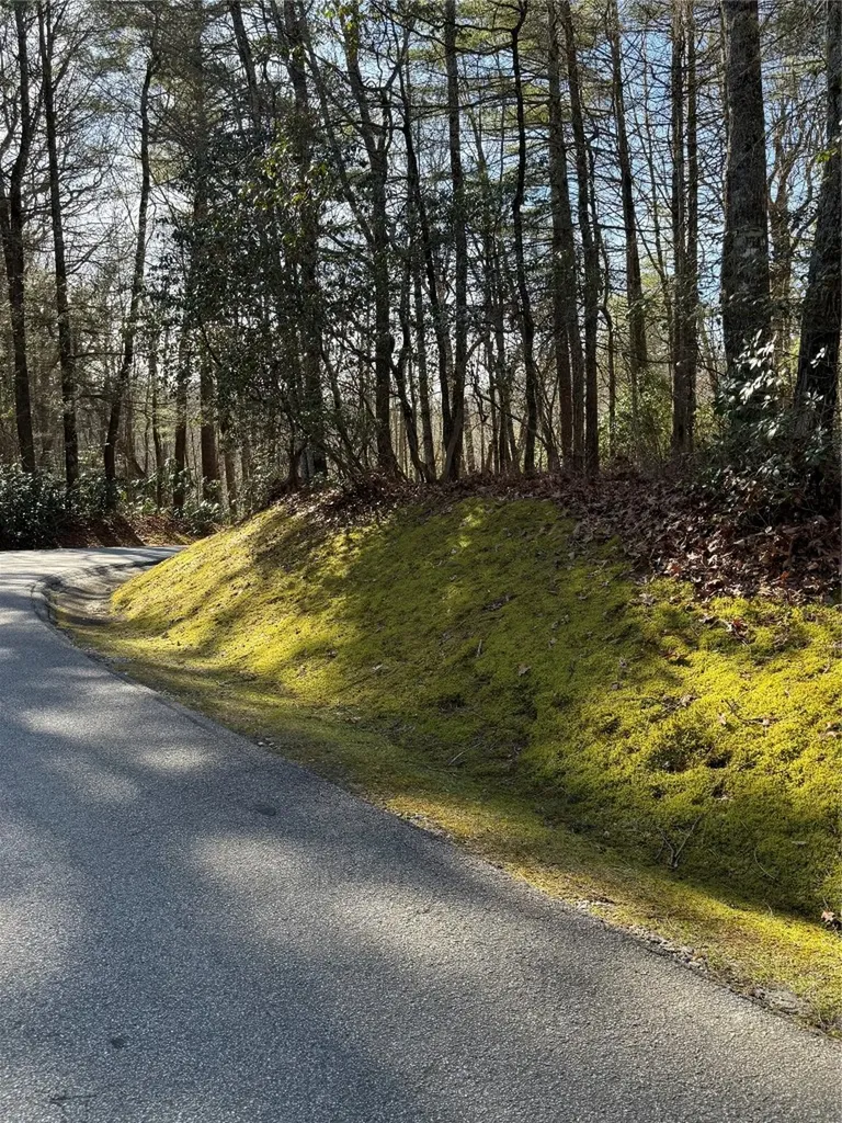 S-10 Cherokee Trace Cashiers NC 28717