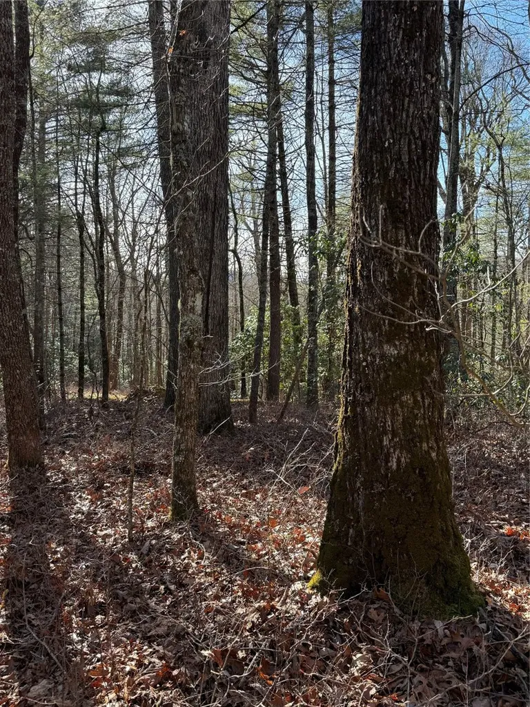 S-10 Cherokee Trace Cashiers NC 28717