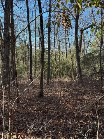 S-10 Cherokee Trace Cashiers NC 28717