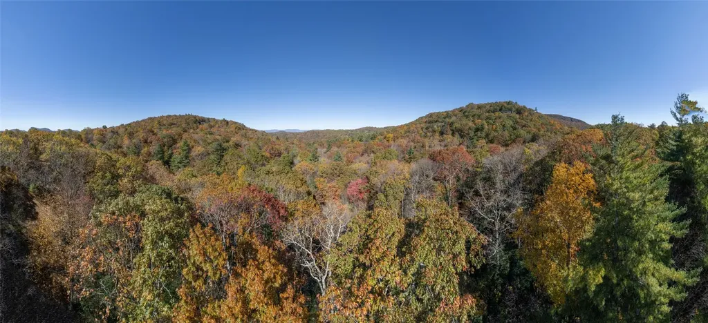 6507 Dillard Road Scaly Mountain NC 28775