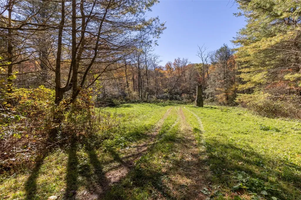 6507 Dillard Road Scaly Mountain NC 28775