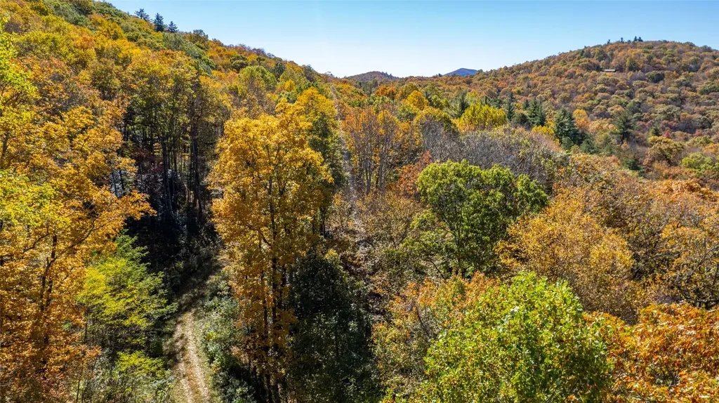 6507 Dillard Road Scaly Mountain NC 28775