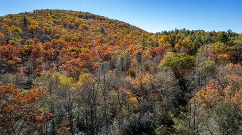 6507 Dillard Road Scaly Mountain NC 28775