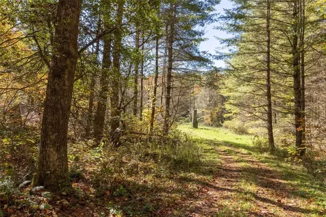 6507 Dillard Road Scaly Mountain NC 28775