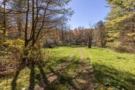 6507 Dillard Road Scaly Mountain NC 28775